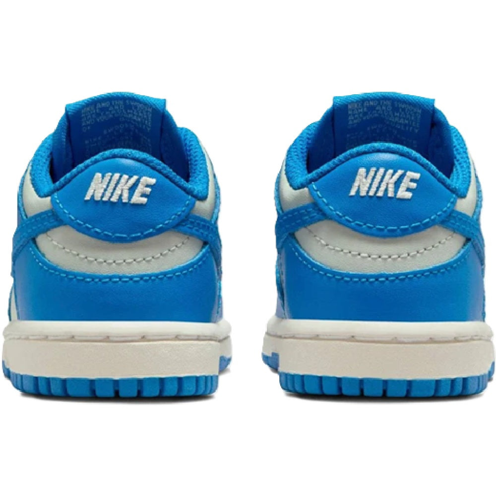Toddler's Nike Dunk Low Light Silver/LT Photo Blue (FB9107 004)